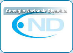 Consiglio Nazionale Disabilit